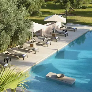 تحقق من التوفر